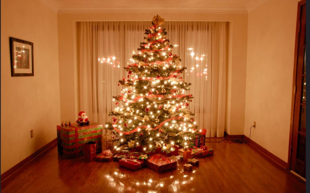 Keeping the Holiday Spirit Aglow: Live Christmas Tree Fire Safety Tips