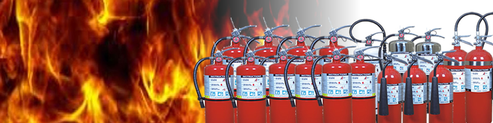 Emerson Fire Extinguisher SERVICETYPE